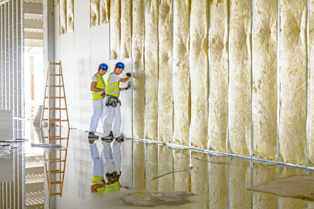 Best Insulation Maintenance and Repair in Clay Center, KS
